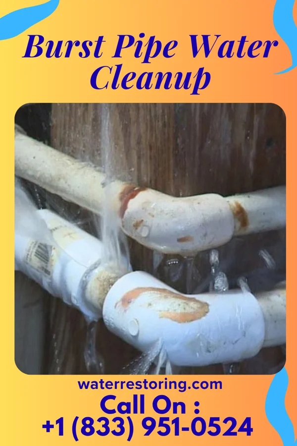 Burst Pipe Water Cleanup in Medford, WI