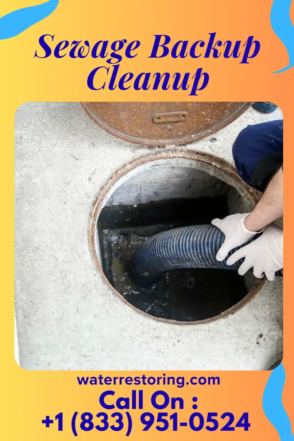 Sewage Backup Cleanup in Medford, WI